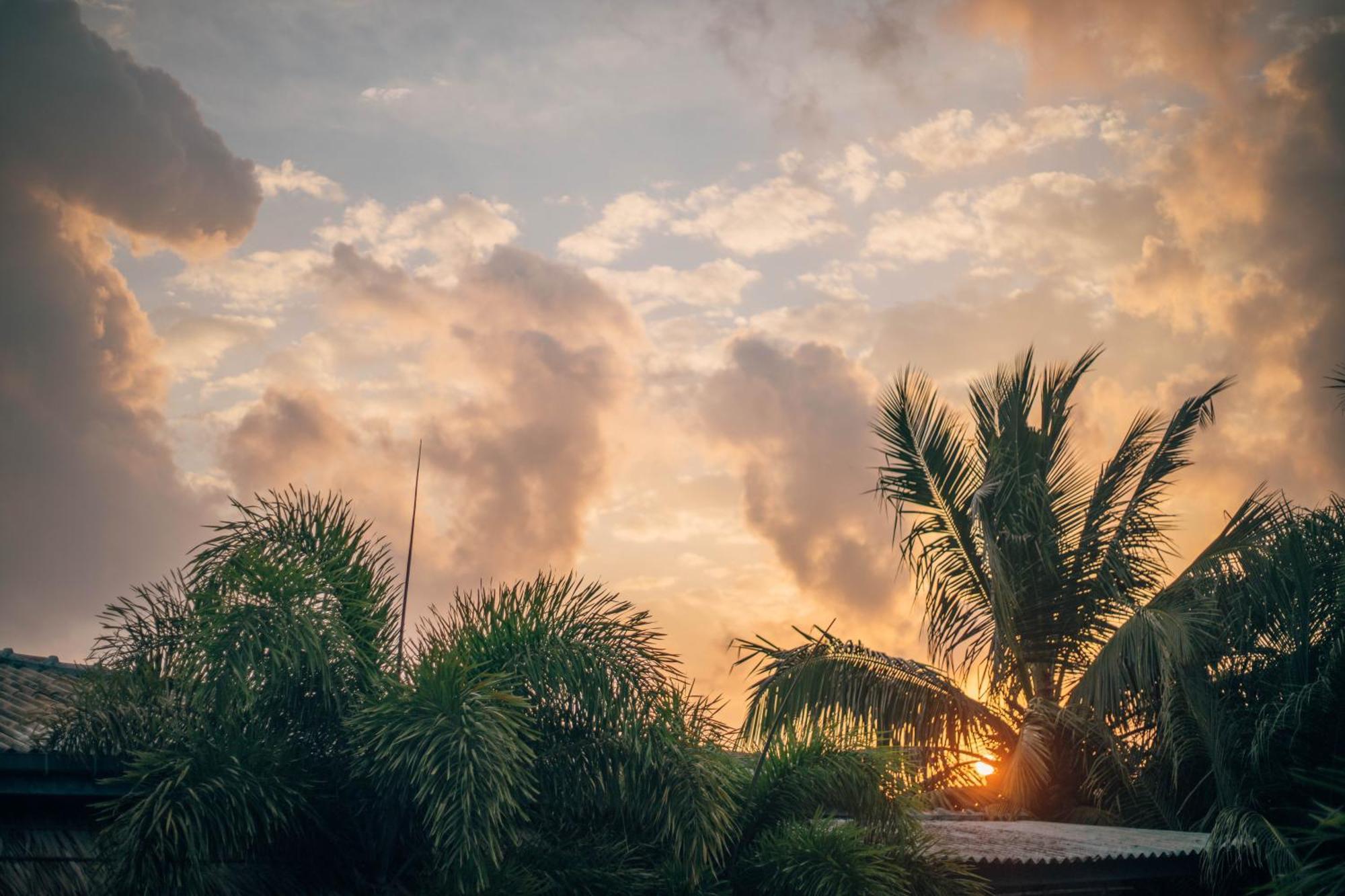 Shell Resort Arugam Kudah Eksteriør bilde